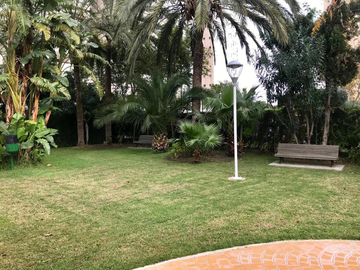Apartamento Coffee Beach En Parque Europa ベニドルム エクステリア 写真