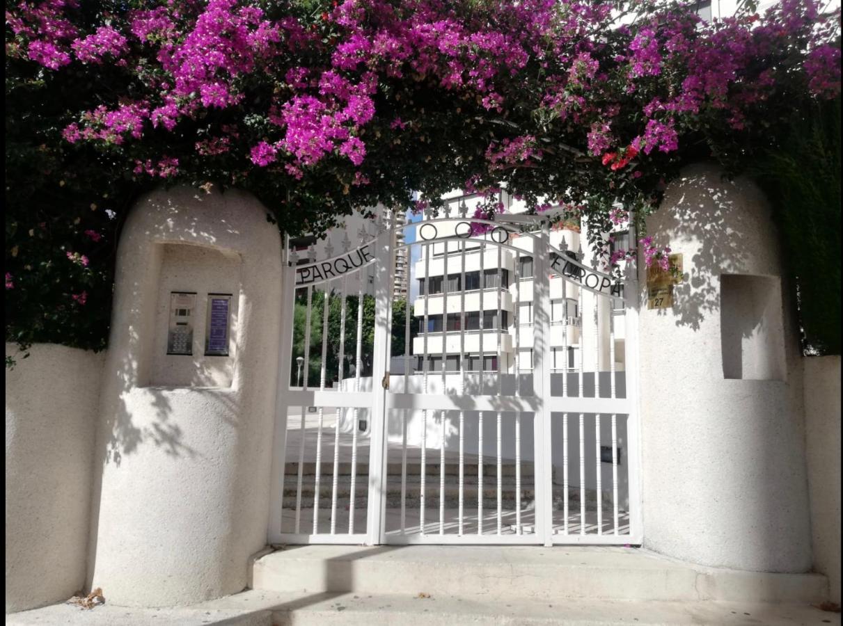 Apartamento Coffee Beach En Parque Europa ベニドルム エクステリア 写真